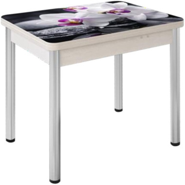 Стол раскладной Д30 с фотопечатью  900*600 (1200) h750 &mdash; Аэлита